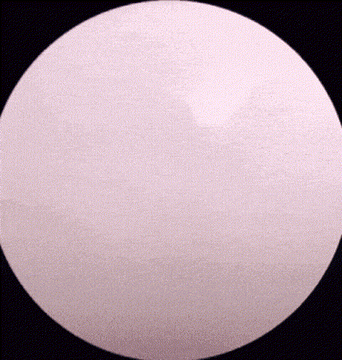 Wander image 20